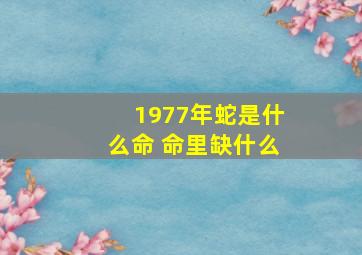 1977年蛇是什么命 命里缺什么